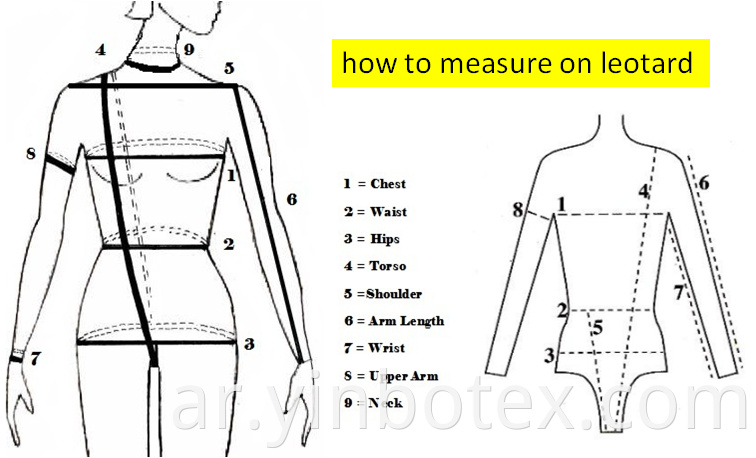 Ladies Tshirt measure